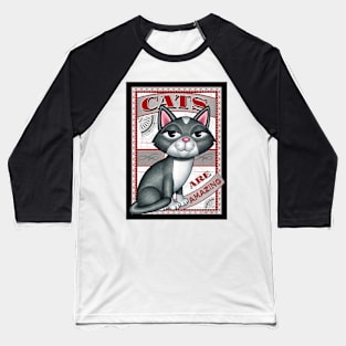 Cute gray white kitty cat on Cats are Amazing! Baseball T-Shirt